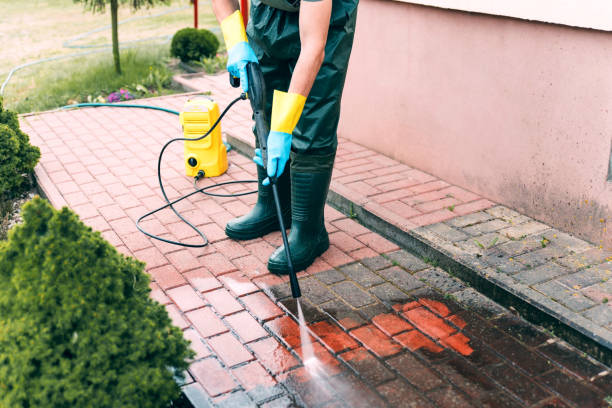Best Soft Washing for Delicate Surfaces in Bluewell, WV